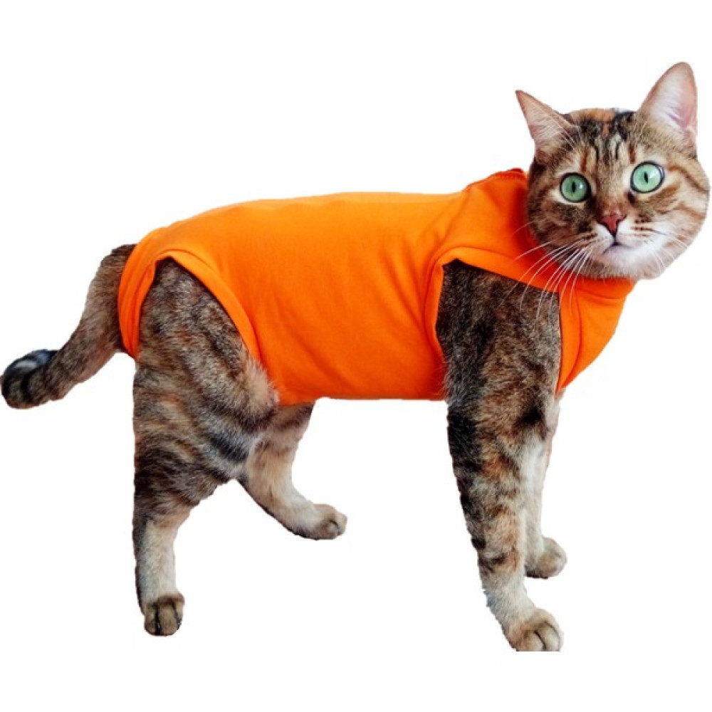 Stylie Kedi Ameliyat Sonrası Giysisi - Turuncu - L Evcil Hayvan Ürünleri Fiyatı