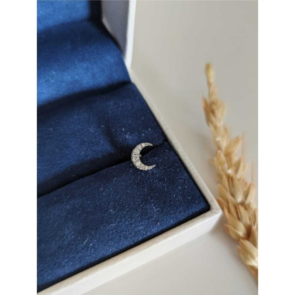 Su Perisi Takı Bijuteri Cerrahi Çelik Gümüş Ay Tragus Piercing Diğer Fiyatı