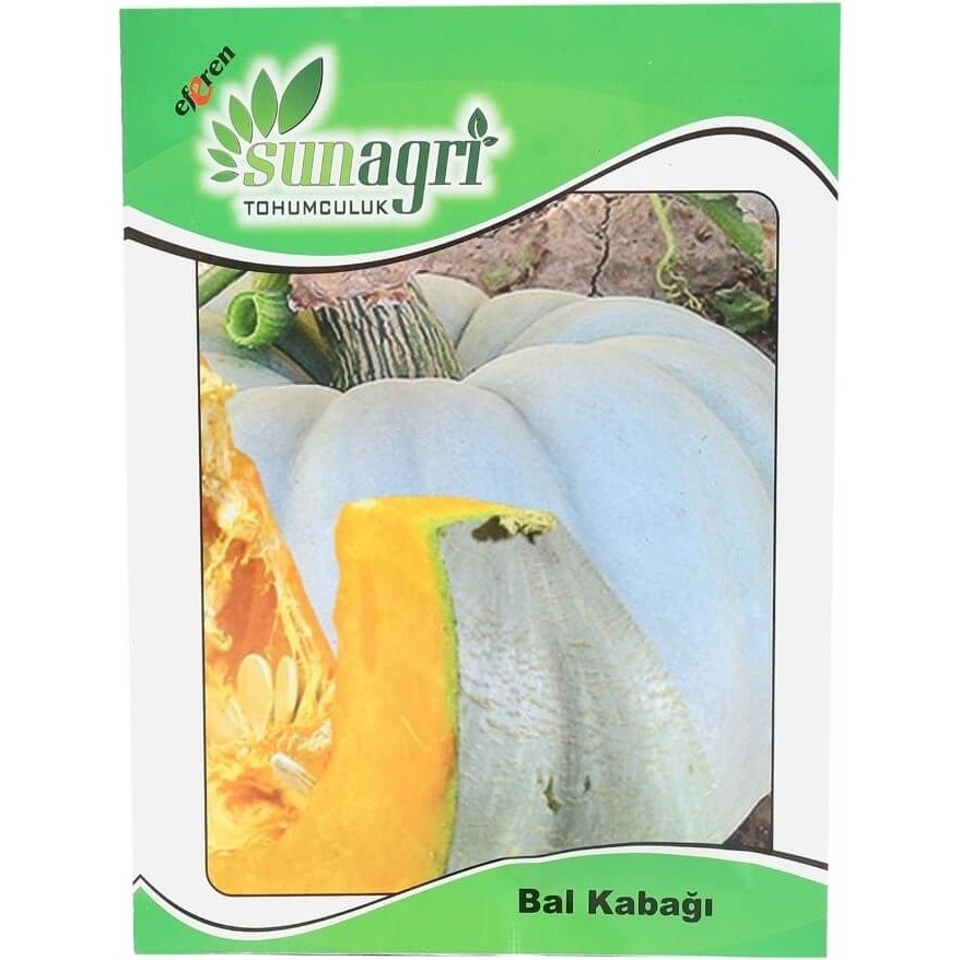 Sunagri Bal Kabağı Tohumu - 1 Adet Tohum Fiyatı