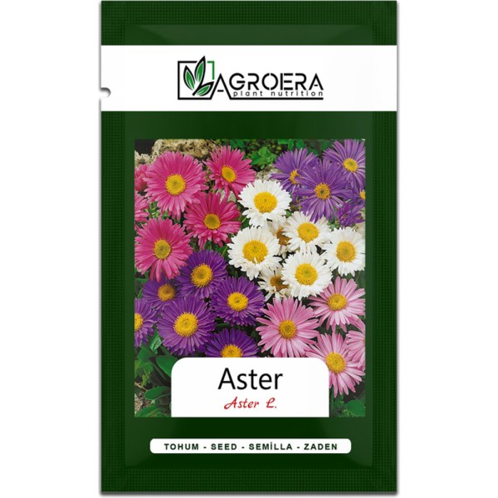 Süs Bitkisi Aster Çiçek Tohumu 50 Adet - 1 Adet Tohum Fiyatı
