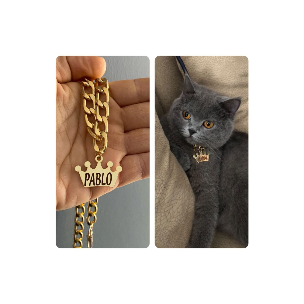süslüpaticikler Kedi Tasması Isimli Kedi Tasması Zincirli Tasma Paslanmaz Metal Evcil Hayvan Ürünleri Fiyatı