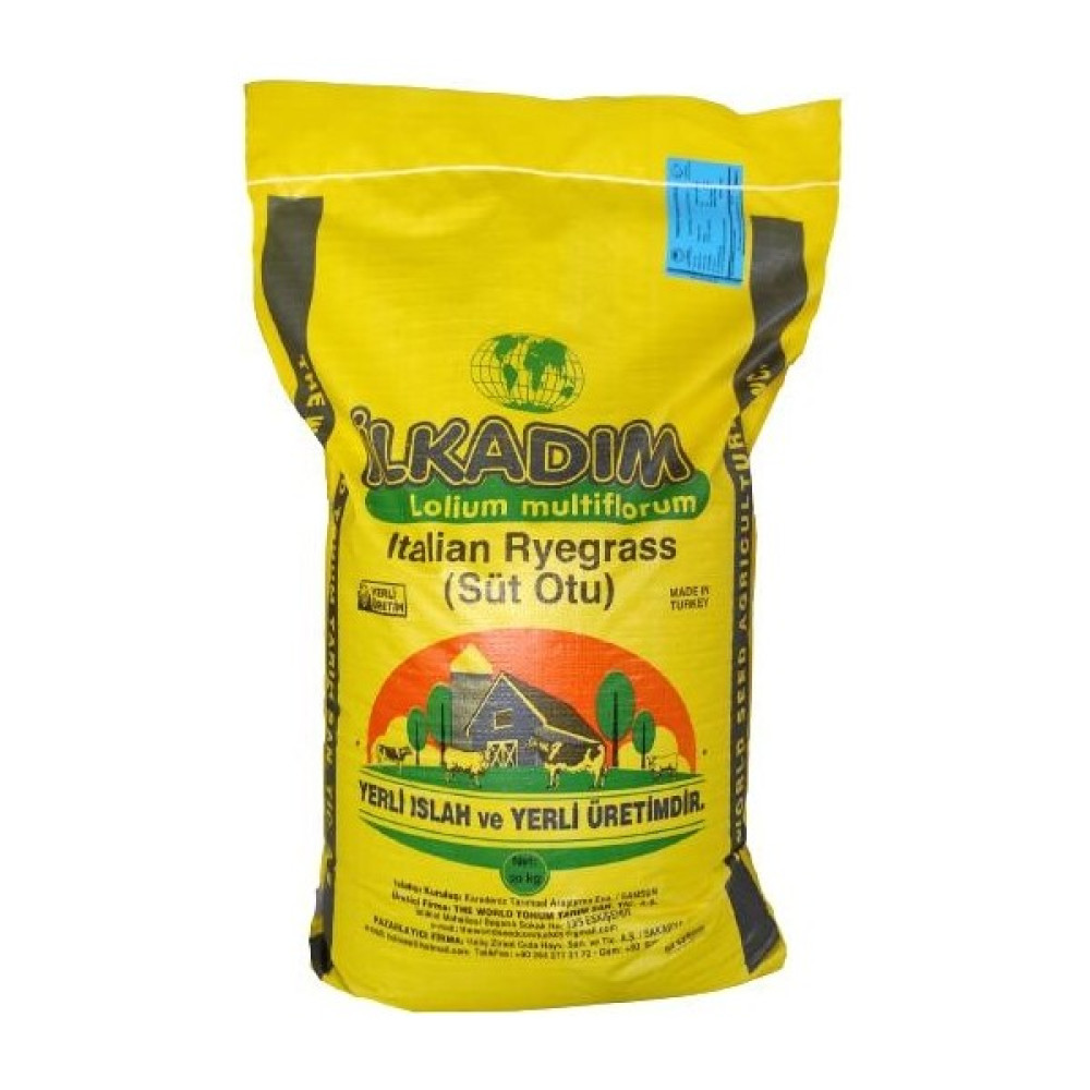 Süt Otu Tohumu (Ryegrass) - Rye Grass - İtalyan Çimi - Reygrass - Tetraploid - 20 kg Tohum Fiyatı