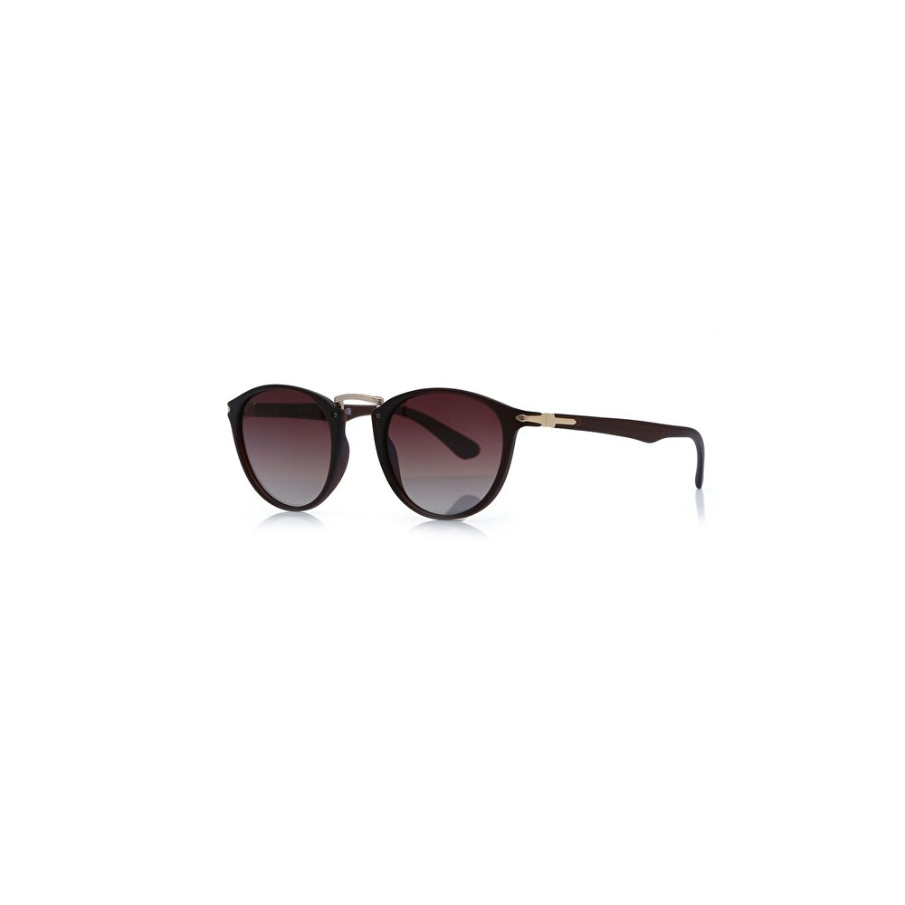 SWİNG SW 208 216 UNISEX GÜNEŞ GÖZLÜĞÜ Güneş Gözlükleri Fiyatı