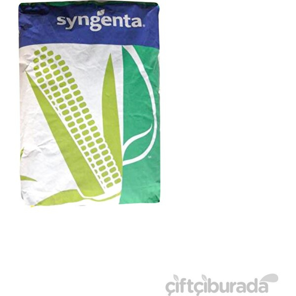 Syngenta Antex Slaj Mısır Tohumu 50.000 Tane - 50000 Tohum Fiyatı