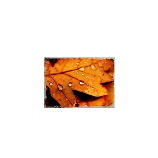 Tablomega Kuru Çınar Yaprağı Ve Damlalar 50x70 cm Ahşap Tablo