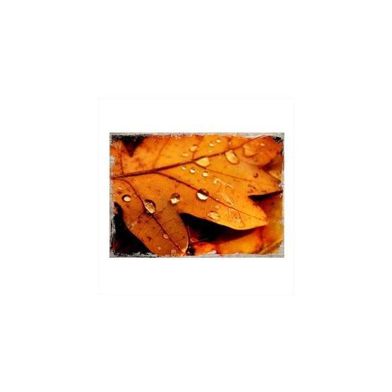 Tablomega Kuru Çınar Yaprağı Ve Damlalar 50x70 cm Ahşap Tablo