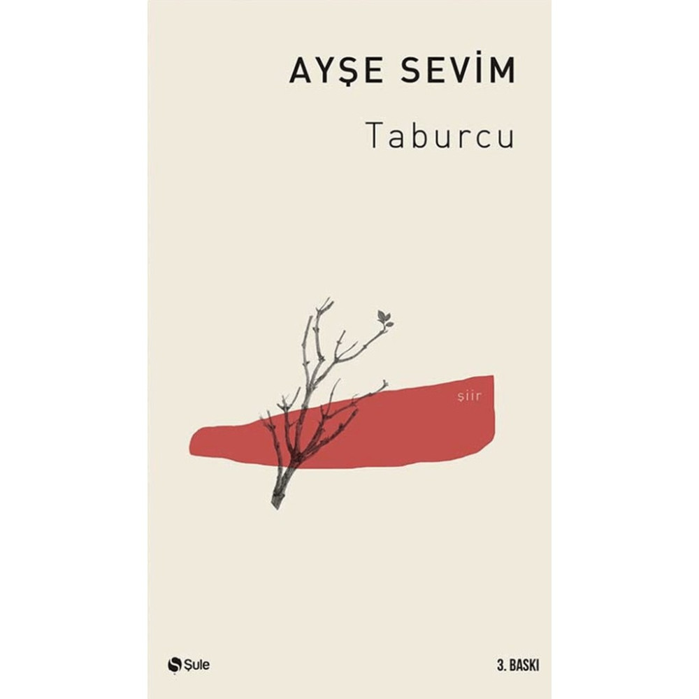 Taburcu Aşk Roman ve Öyküleri Fiyatı