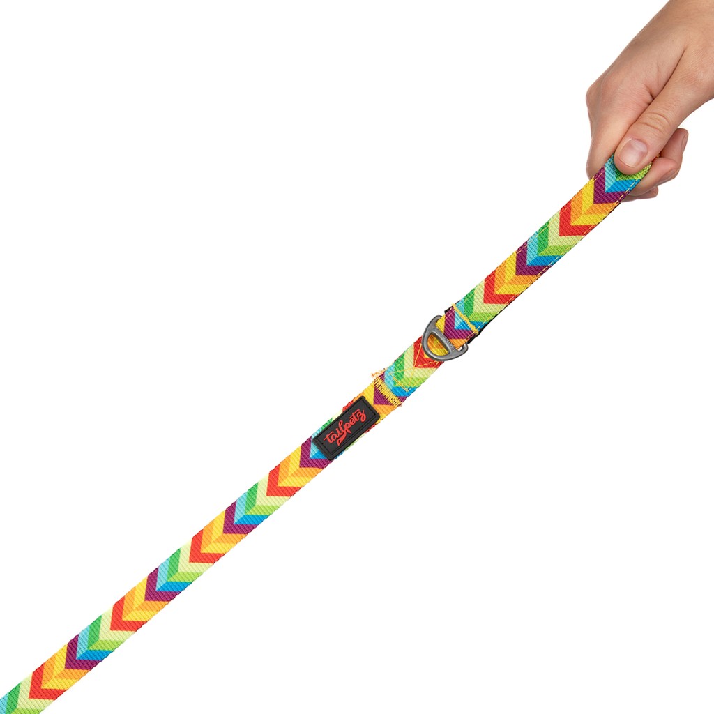 Tailpetz Kedi Köpek Sevk & Gezdirme Kayışı RAINBOW 130x2cm SSD / Solid State Drive Fiyatı