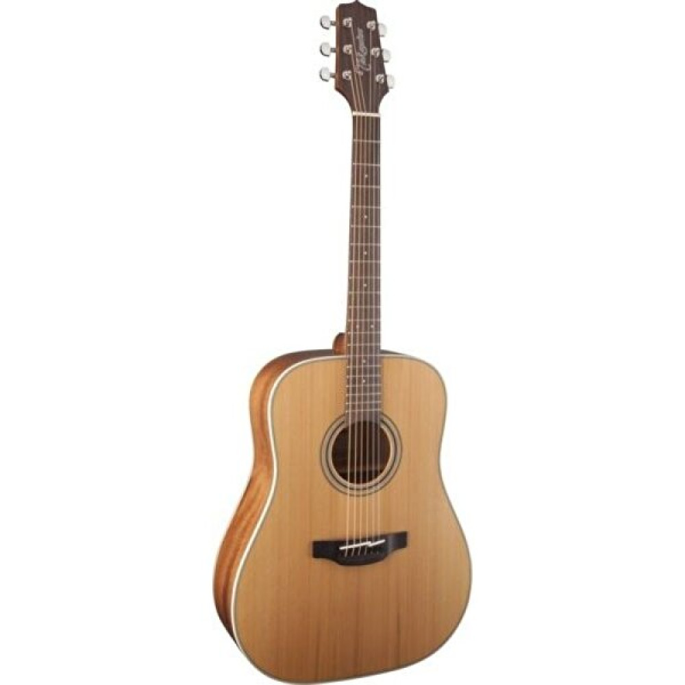 Takamine Gd20-Ns Akustik Gitar Akustik Gitarlar Fiyatı