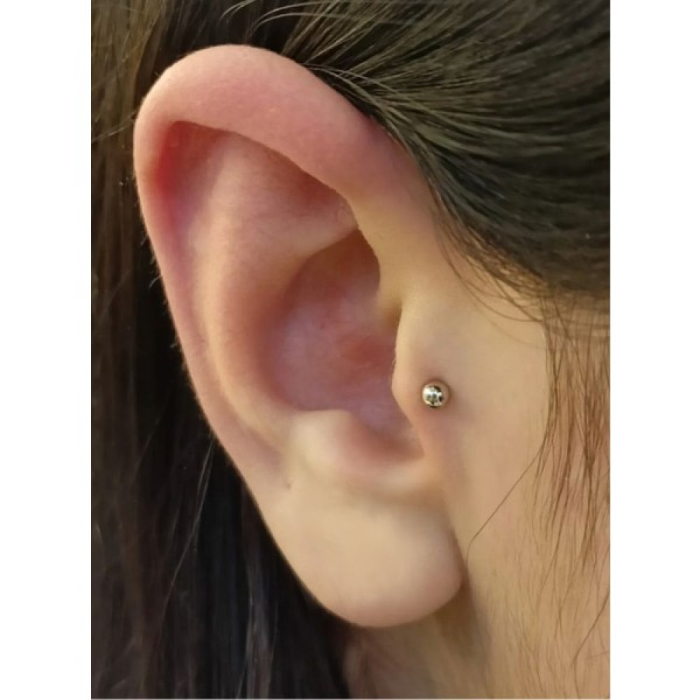 Takıconcept Deliksiz Mıknatıslı Tragus Helix Fake Piercing - Gümüş Altın & Gümüş Piercing Fiyatı
