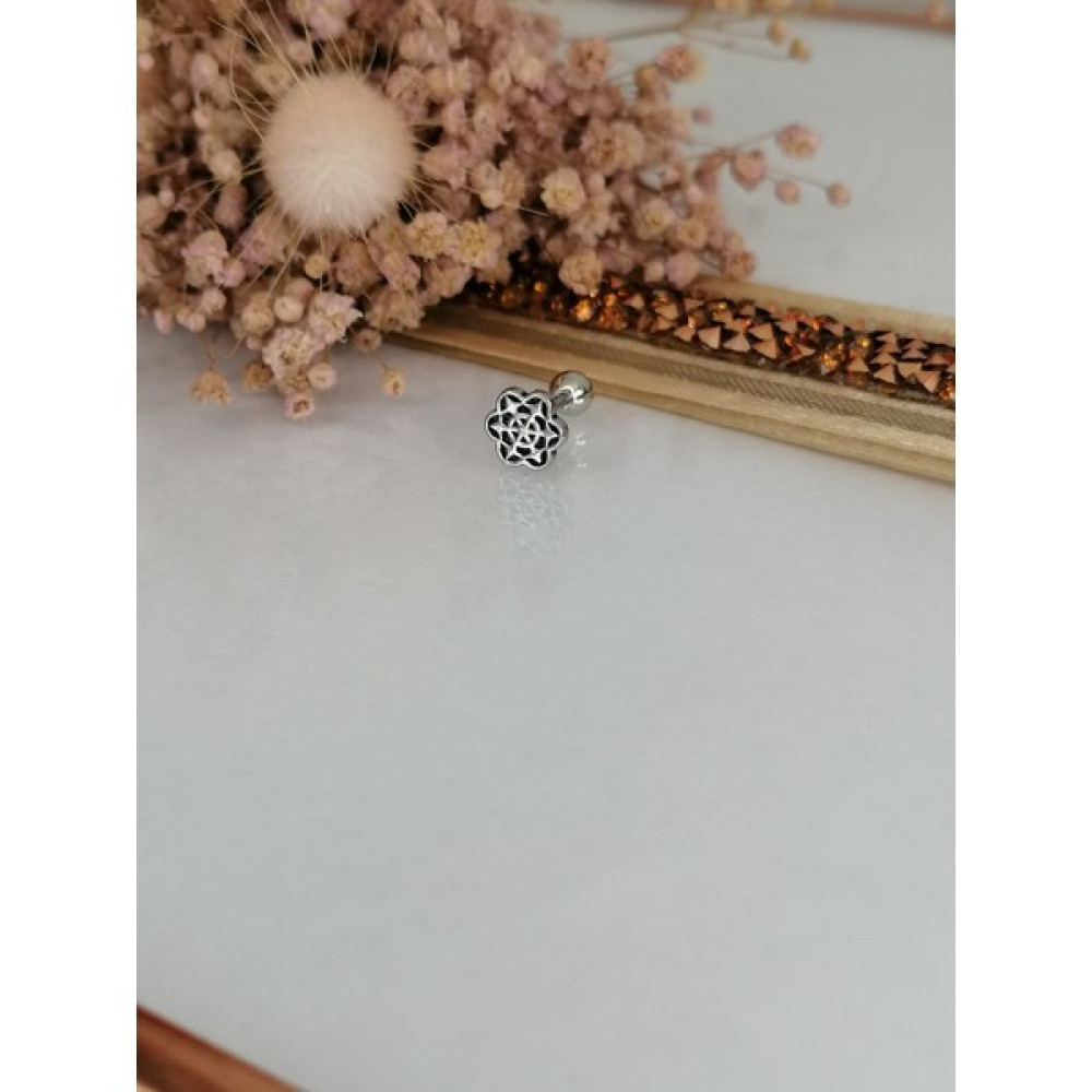 Takıdan Yıldız Otantik Cerrahi Çelik Kıkırdak Tragus Piercing&küpe 6mm - Gümüş Altın & Gümüş Piercing Fiyatı