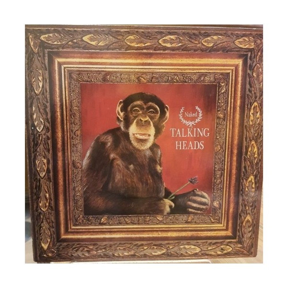 Talking Heads – Naked - Plak Lp Oto Boyaları Fiyatı