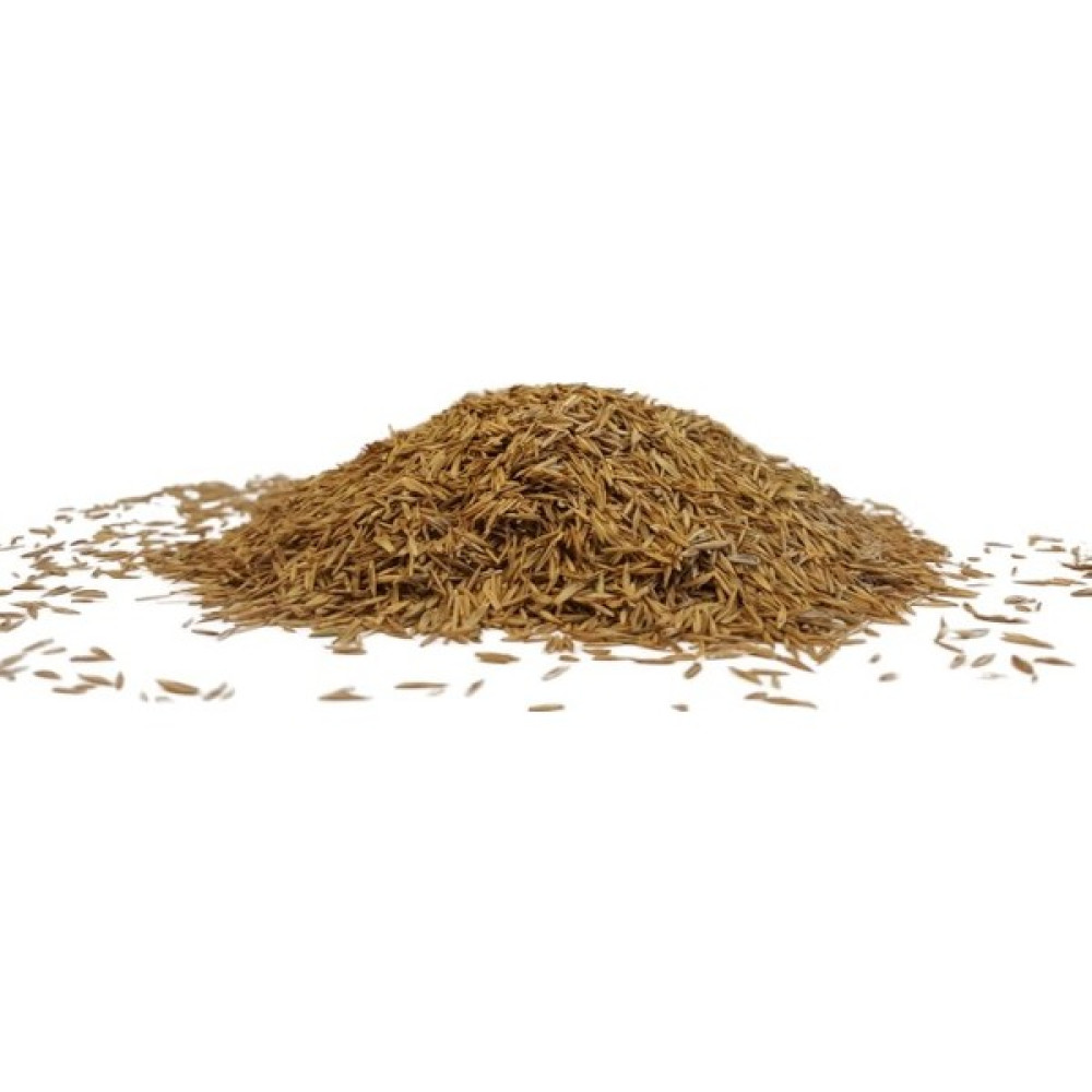 Tarım Evim Ingiliz Çimi (%100 Tek Çeşit) 1-2-3-5-10 kg ( Lolium Perenne ) - 3 kg Oto Boyaları Fiyatı