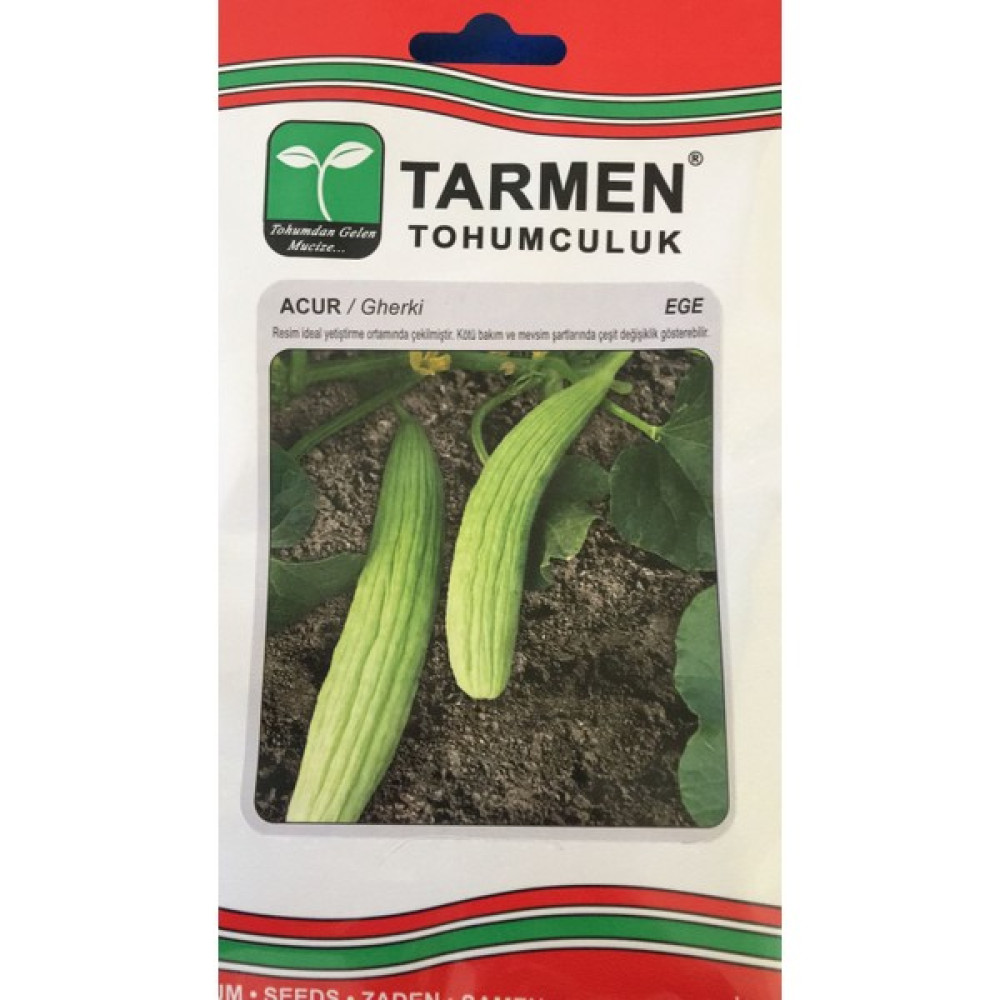 TARMEN TOHUMCULUK Tarmen Acur - 1 Adet Oto Boyaları Fiyatı