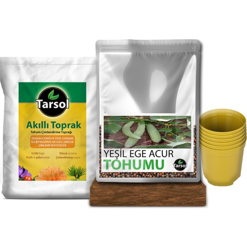 Tarsol Acur Tohumu 30'lu Toprak ve Saksı Seti - 30 Adet Oto Boyaları Fiyatı