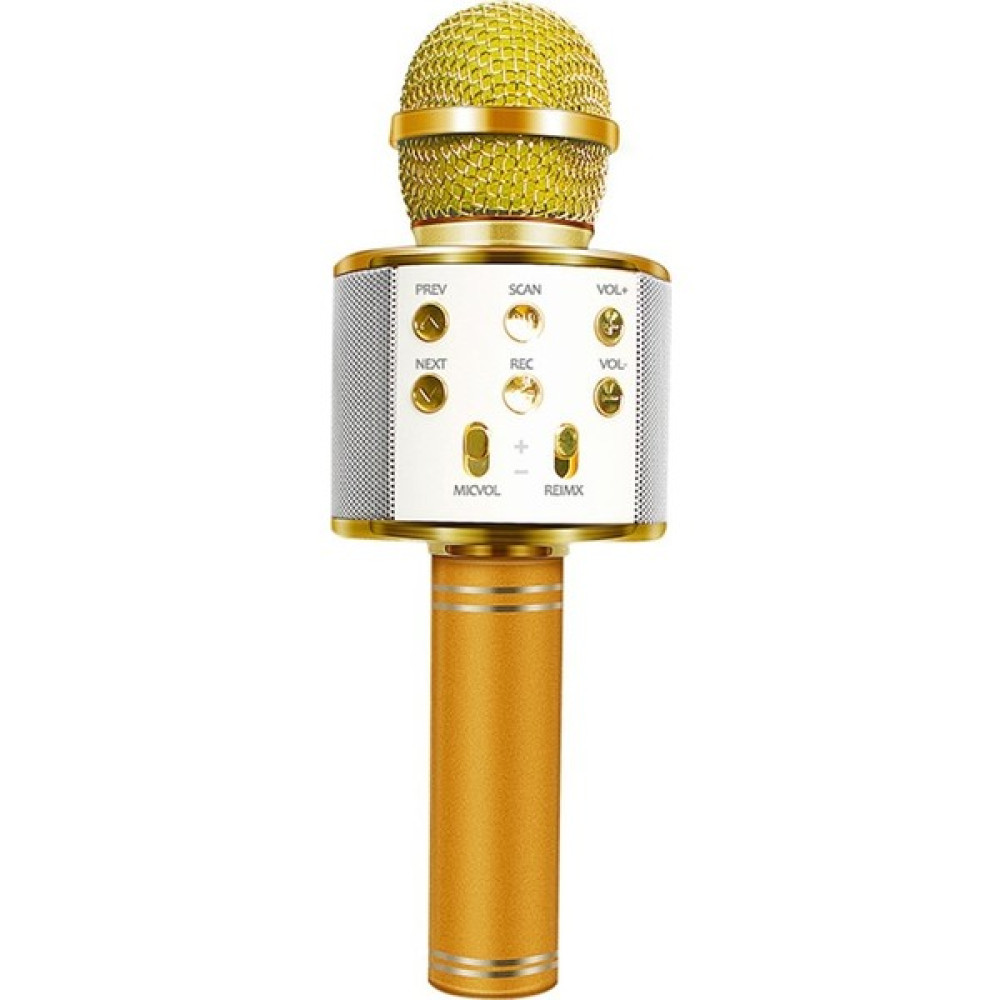 Tatu Handheld Ktv Karaoke Mikrofon Gold WS-858 Müzik Aletleri Fiyatı