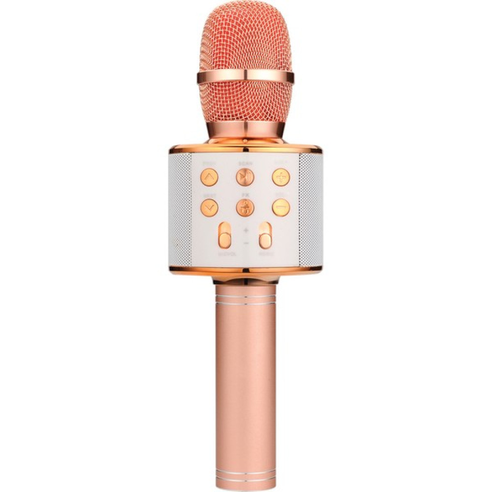 Tatu Handheld Ktv Karaoke Mikrofon Rose Gold WS-858 Müzik Aletleri Fiyatı