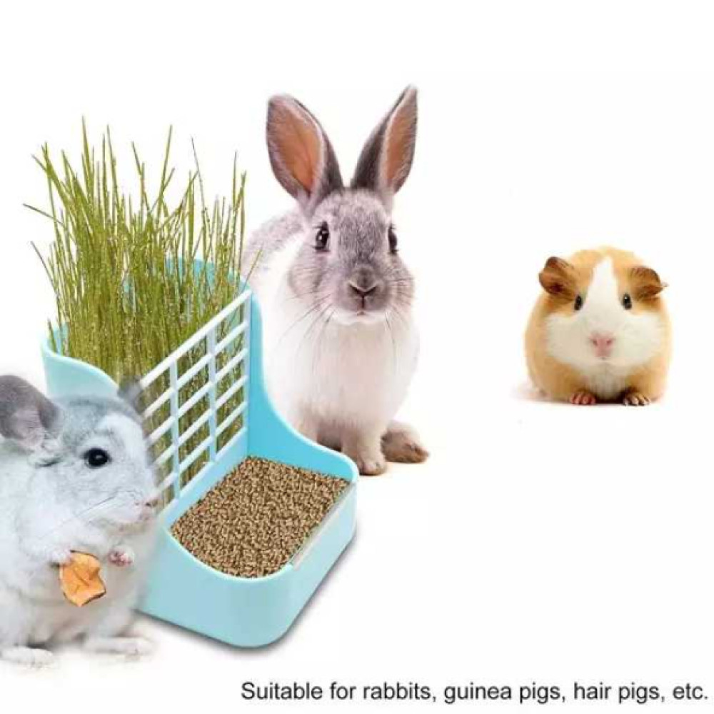 Tavsan Hamster Ginepig Yemlik Otluk Evcil Hayvan Ürünleri Fiyatı