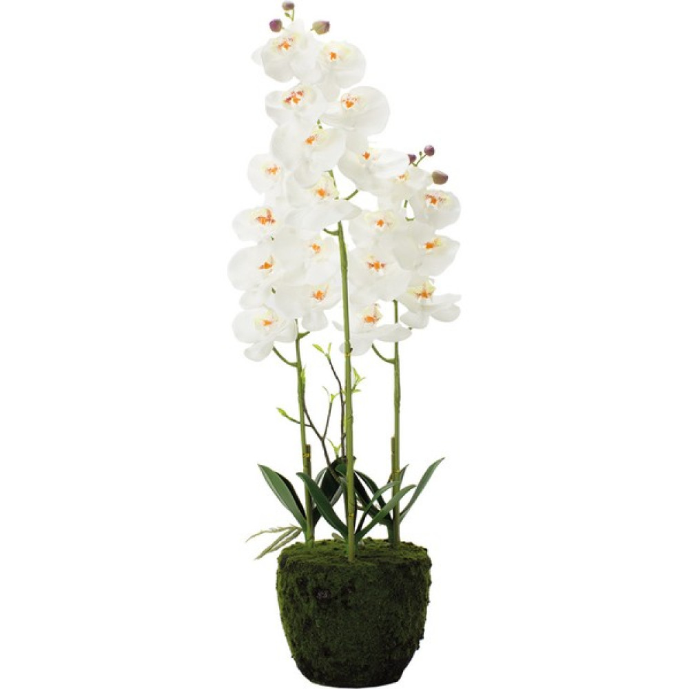 T.Concept Tmall Home 3 Dallı Beyaz Orkide Saksılı (Yapay Çiçek) 67CM- 804577 Ev & Dekorasyon Aksesuarları Fiyatı
