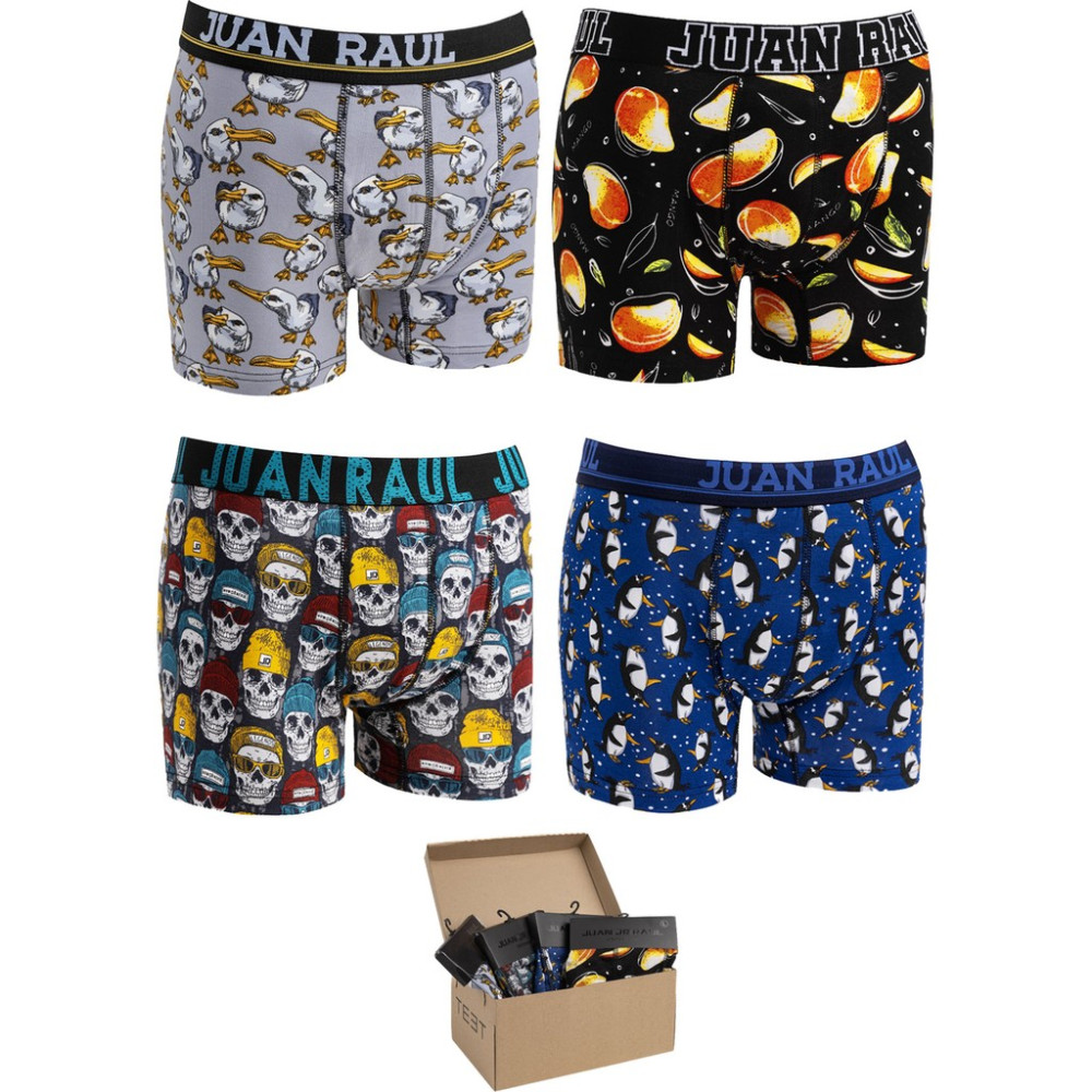 Teet Juan Raul Erkek Boxer Pamuklu Desenli 4'lü Premium Set Erkek Boxer Fiyatı