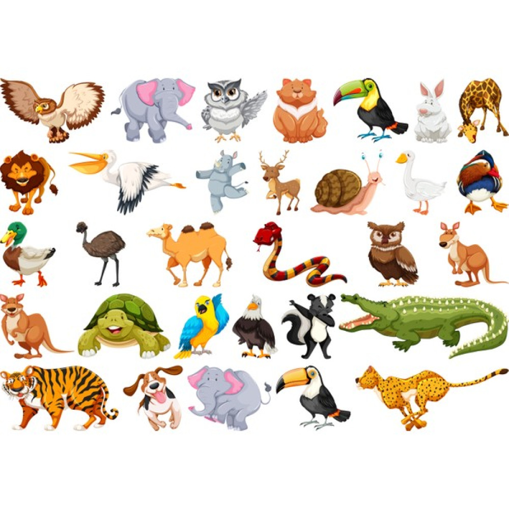 Tellgraf Hayvanlar Konseptli Etiket Sticker Fiyatı