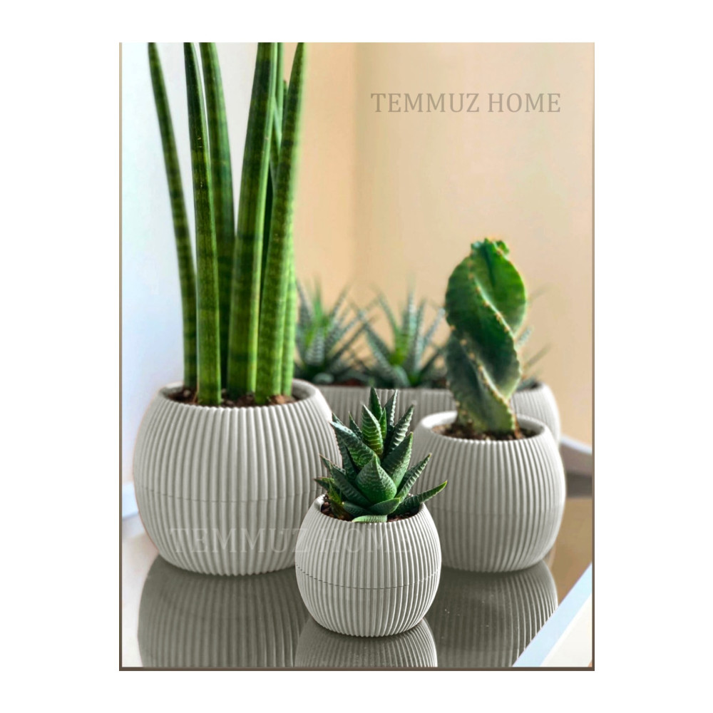 TEMMUZ HOME 3 Lü Set Kaktüs Ve Çiçekler Için Dekoratif Ve Şık Karasu Mercan Saksı Seti Saksı ve Aksesuarları Fiyatı