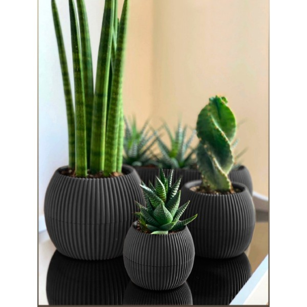 Temmuz Home 3 Lü Set Kaktüs Ve Çiçekler Için Dekoratif Ve Şık Karasu Mercan Saksı Seti Gri Saksı ve Aksesuarları Fiyatı