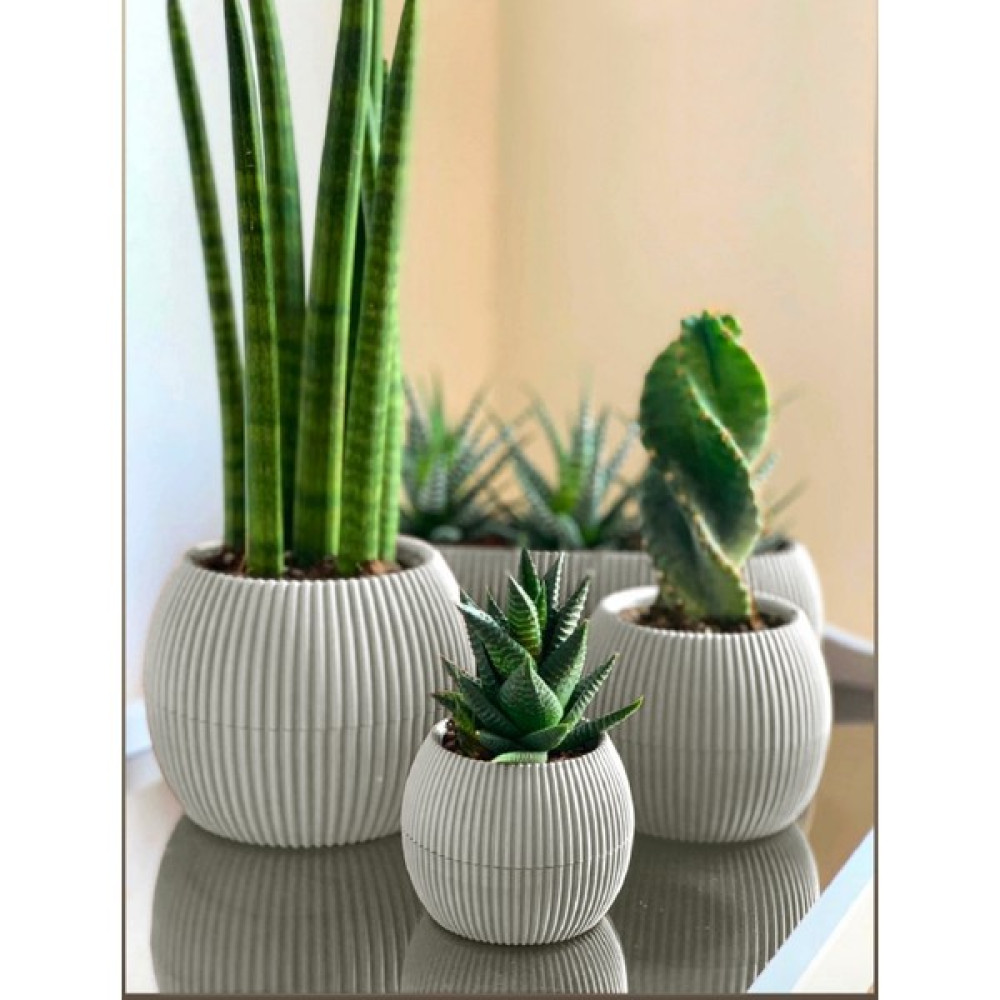Temmuz Home 3 Lü Set Kaktüs Ve Çiçekler Için Dekoratif Ve Şık Karasu Mercan Saksı Seti Krem Rengi Saksı ve Aksesuarları Fiyatı