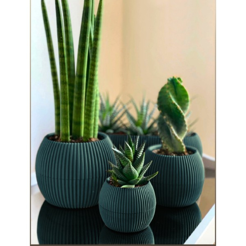 Temmuz Home 3 Lü Set Kaktüs Ve Çiçekler Için Dekoratif Ve Şık Karasu Mercan Saksı Seti Mavi Saksı ve Aksesuarları Fiyatı