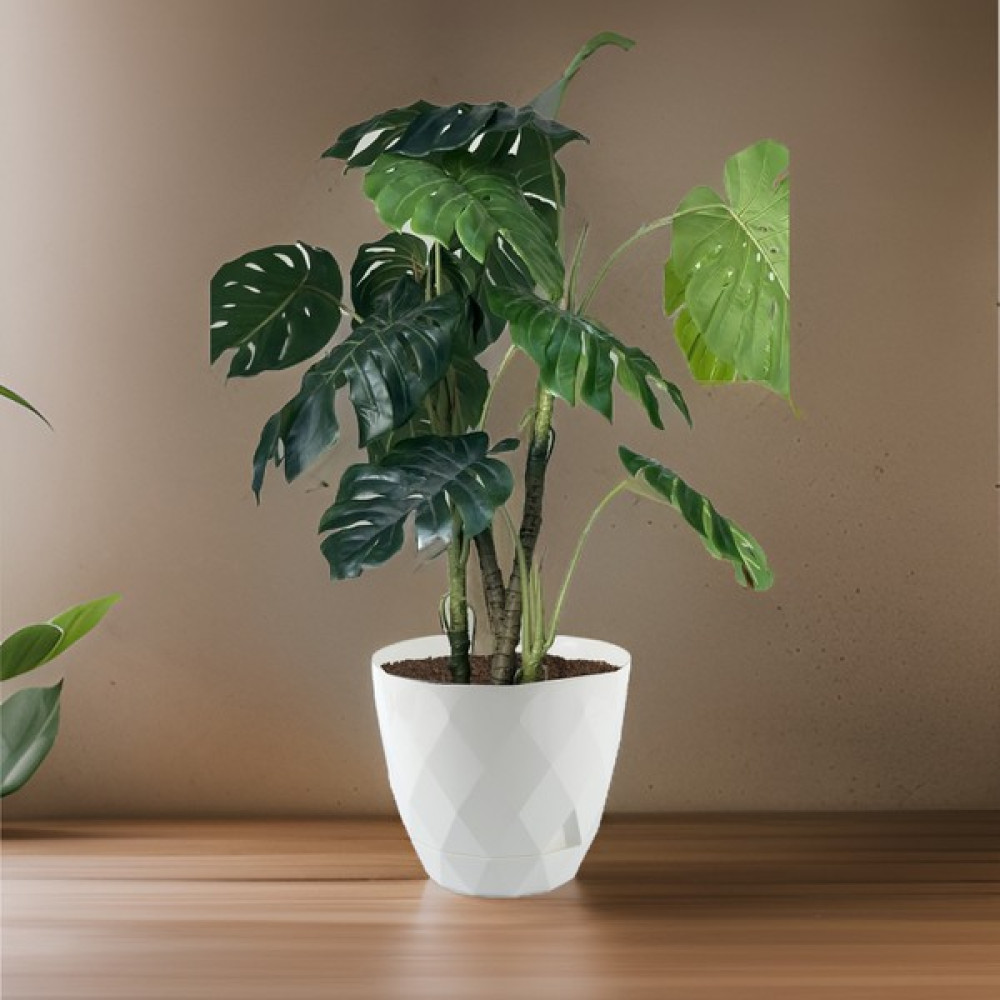 Temmuz Home 9.2 Litre Dekoratif Prizma Desenli Büyük Boy Tabaklı Plastik Saksı Yakamoz No5 - Beyaz Saksı ve Aksesuarları Fiyatı