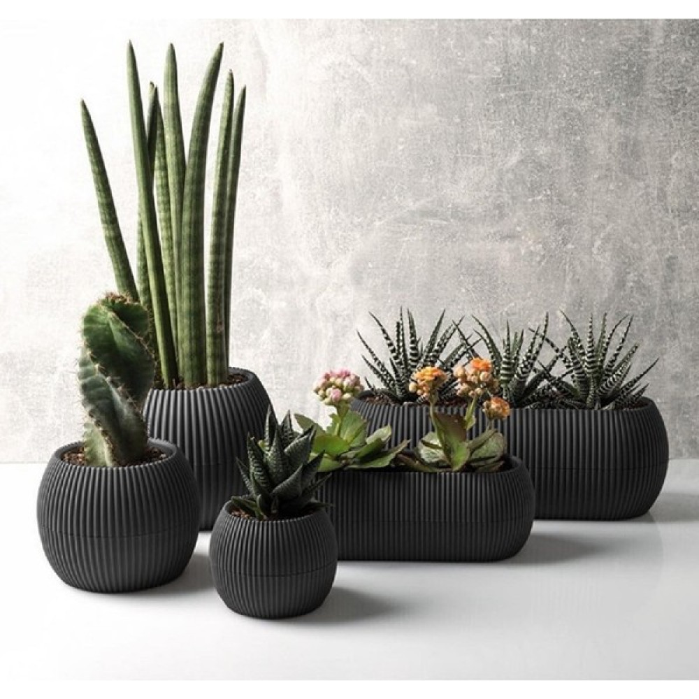 Temmuz Home Karasu Mercan Saksı Seti 5 Li Set - Gri Saksı ve Aksesuarları Fiyatı