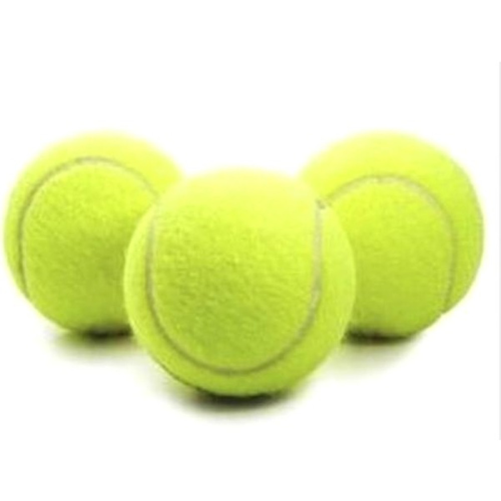 Tenis Topu Antrenman Sarı 3 Adet Birden Köpek Dişleme Topu Oyun Topu Toplar Fiyatı