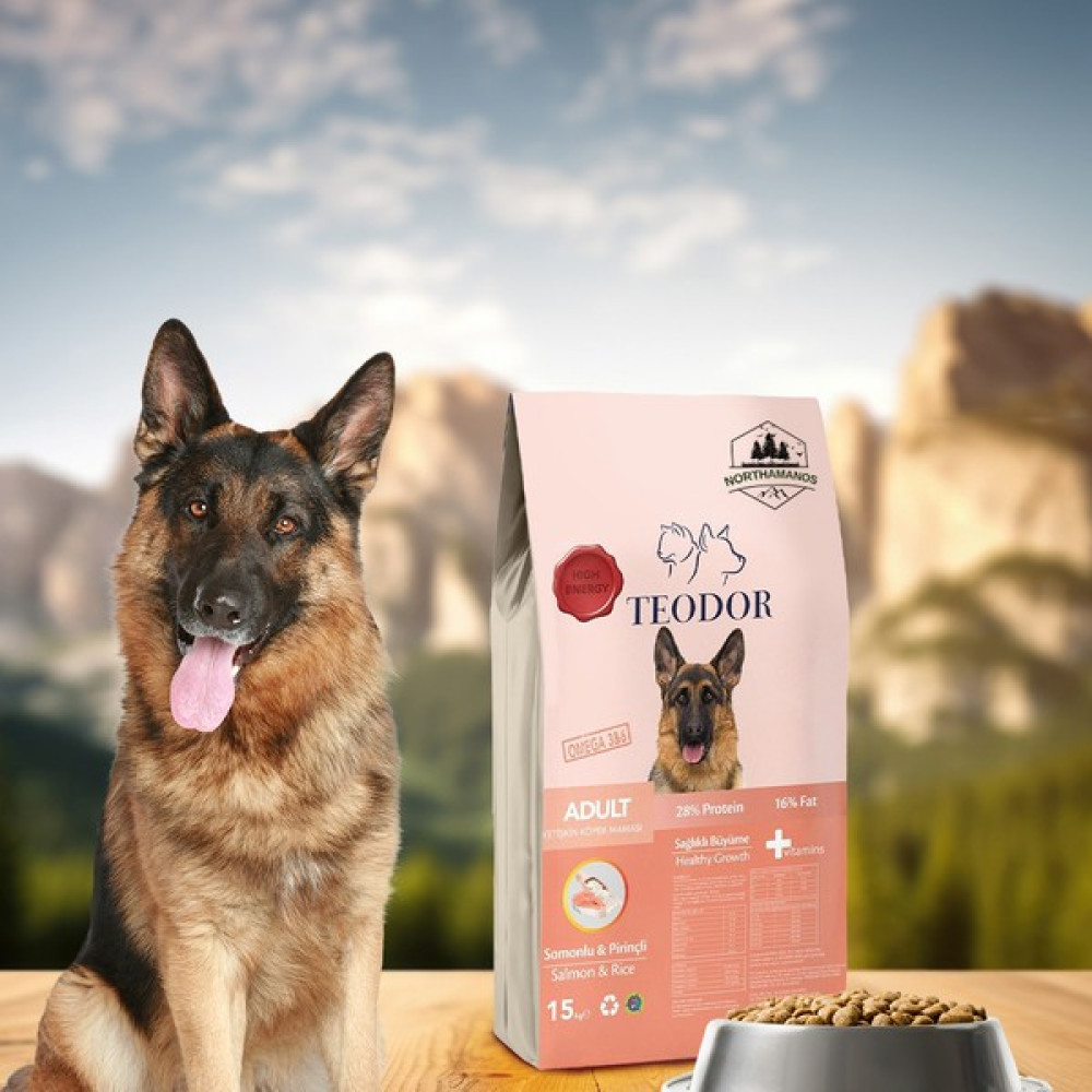 Teodor 15KG Adult Yüksek Enerjili Somonlu ve Pirinçli %28 Protein Köpek Maması - 15 kg Evcil Hayvan Ürünleri Fiyatı
