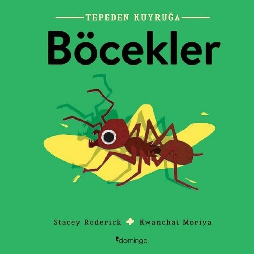 Tepeden Kuyruğa Böcekler - Stacey Roderick Okul Öncesi Eğitici & Öğretici Kitaplar Fiyatı