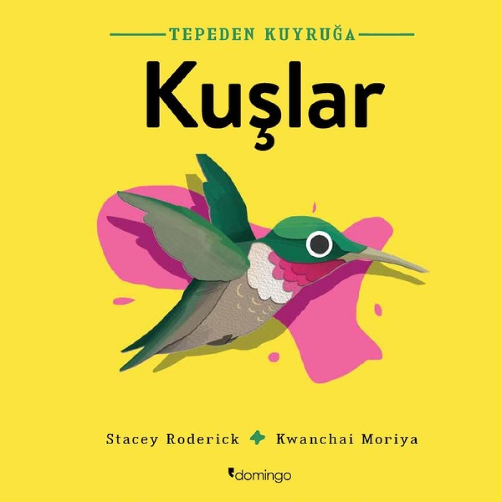 Tepeden Kuyruğa Kuşlar - Stacey Roderick Okul Öncesi Eğitici & Öğretici Kitaplar Fiyatı