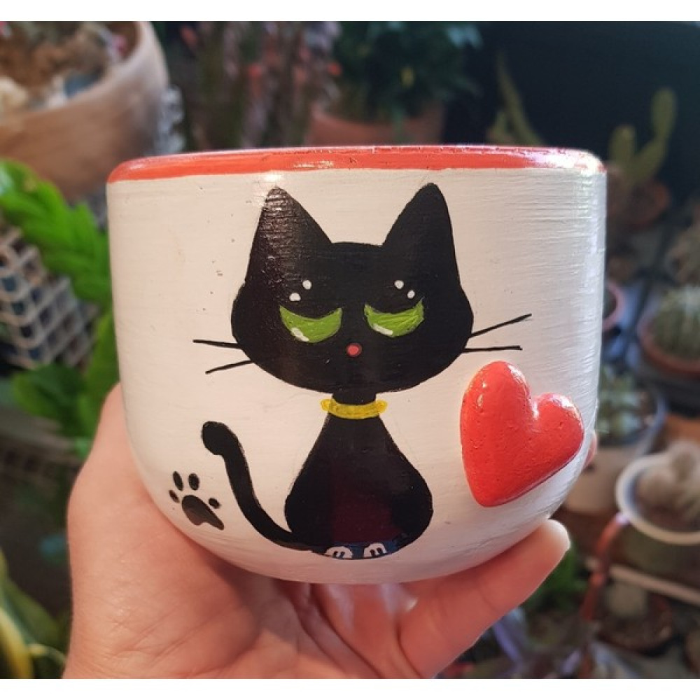 Terarya Kuki Kedi Saksı Saksı ve Aksesuarları Fiyatı