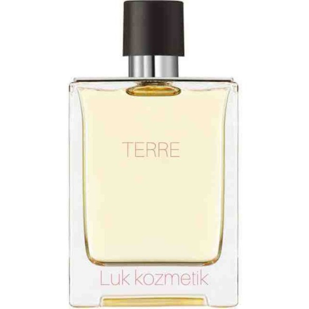 Terre Erkek Parfümleri Fiyatı