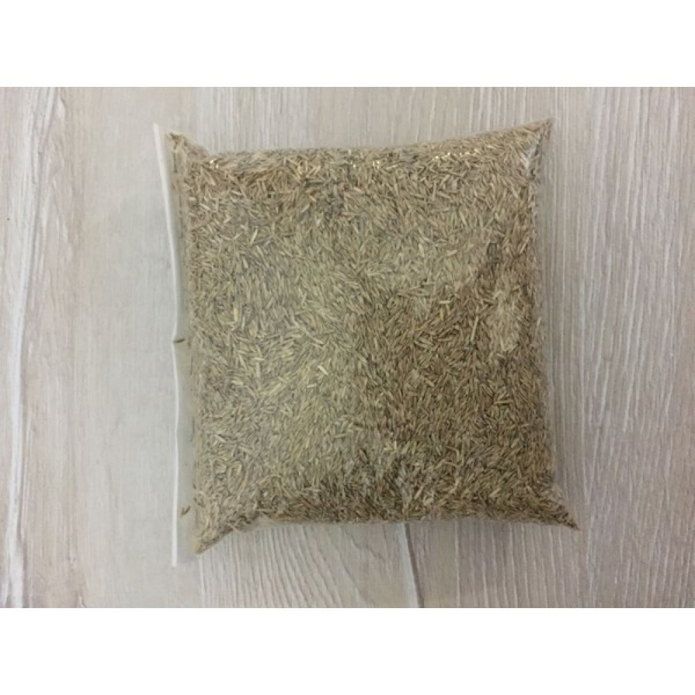 The Best Online Susuzluğa Dayanıklı Çim Tohumu 500 Gr. - 1 Adet Tohum Fiyatı
