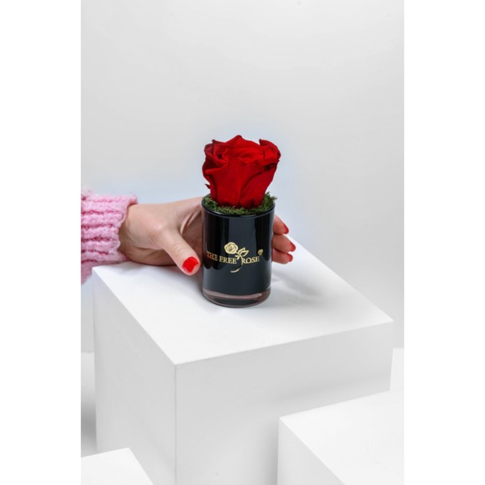 The Free Rose Küçük Boy Cam Vazo Kırmızı Solmayan Gül Vazo Fiyatı