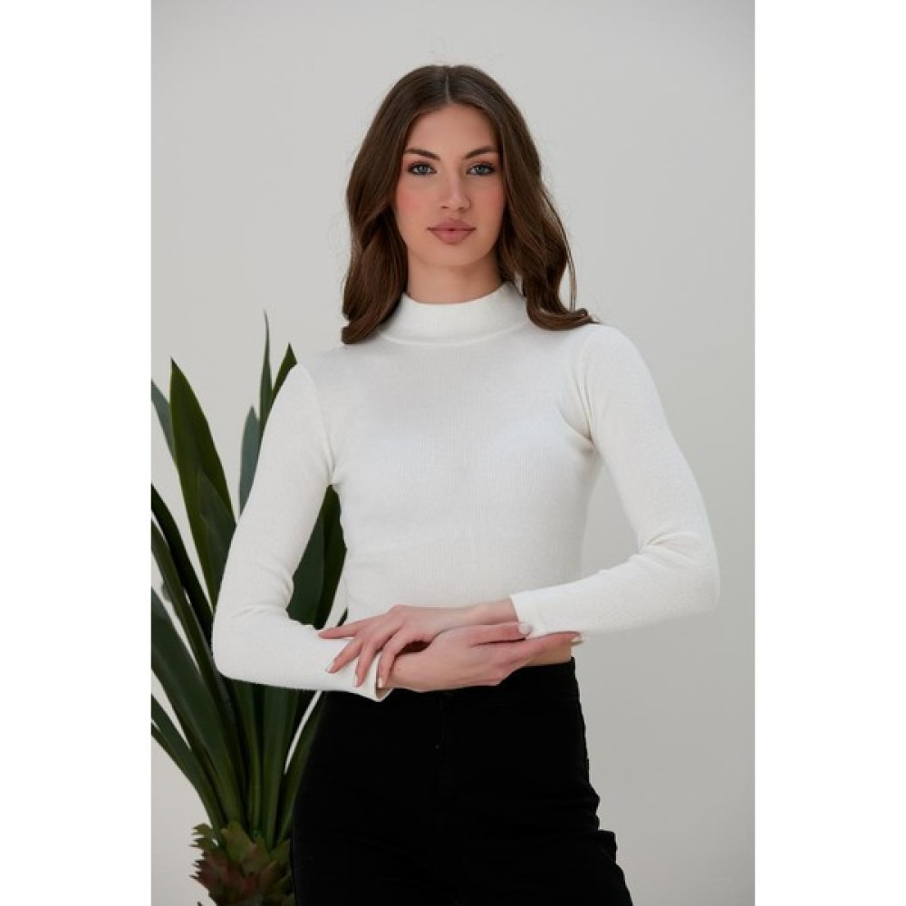 Thebek Kadın Yarım Balıkçı Yaka Uzun Kol Örme Crop Bluz Fiyatı