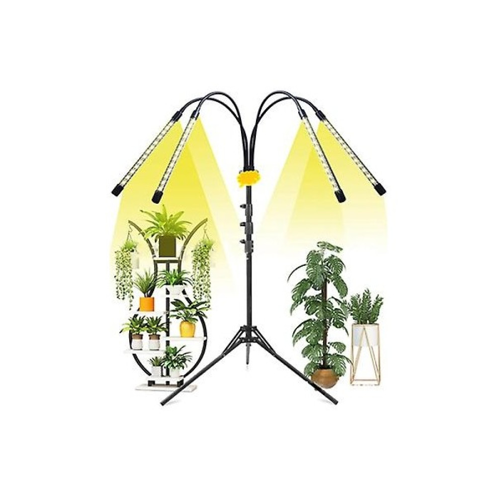 Three Beans Tam Spektrum Ev Bitki Büyüme Işığı 4 Nehri (2 #) (Yurt Dışından) - Renkli Masa Lambası Fiyatı