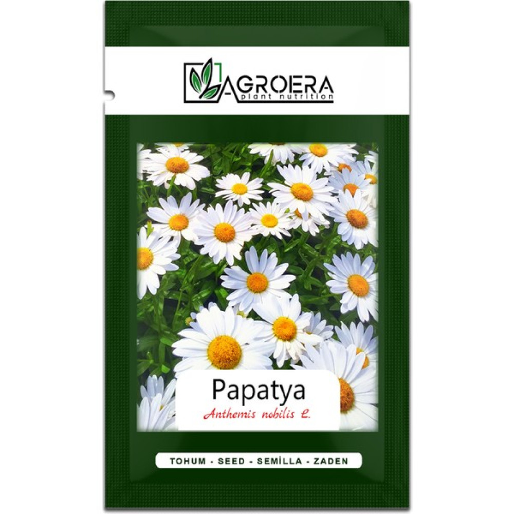 Tıbbi Aromatik Papatya Tohumu 100 Adet Tohum Fiyatı