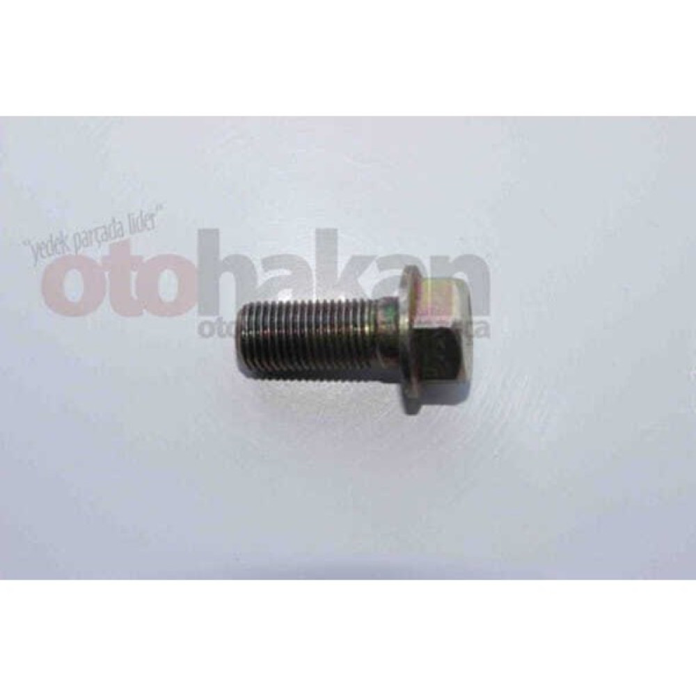 Tlg TLG-8019 -8019 Ayna Mahruti Civatası Isuzu NPR66 Npr 909606505251 Oto Boyaları Fiyatı