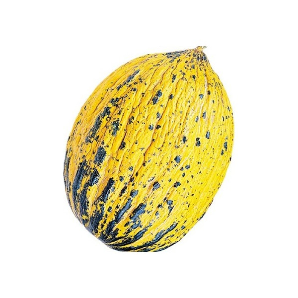 Tohum Diyarı Kavun (Kırkağaç) Tohumu 5+ Tohum Tohum Fiyatı