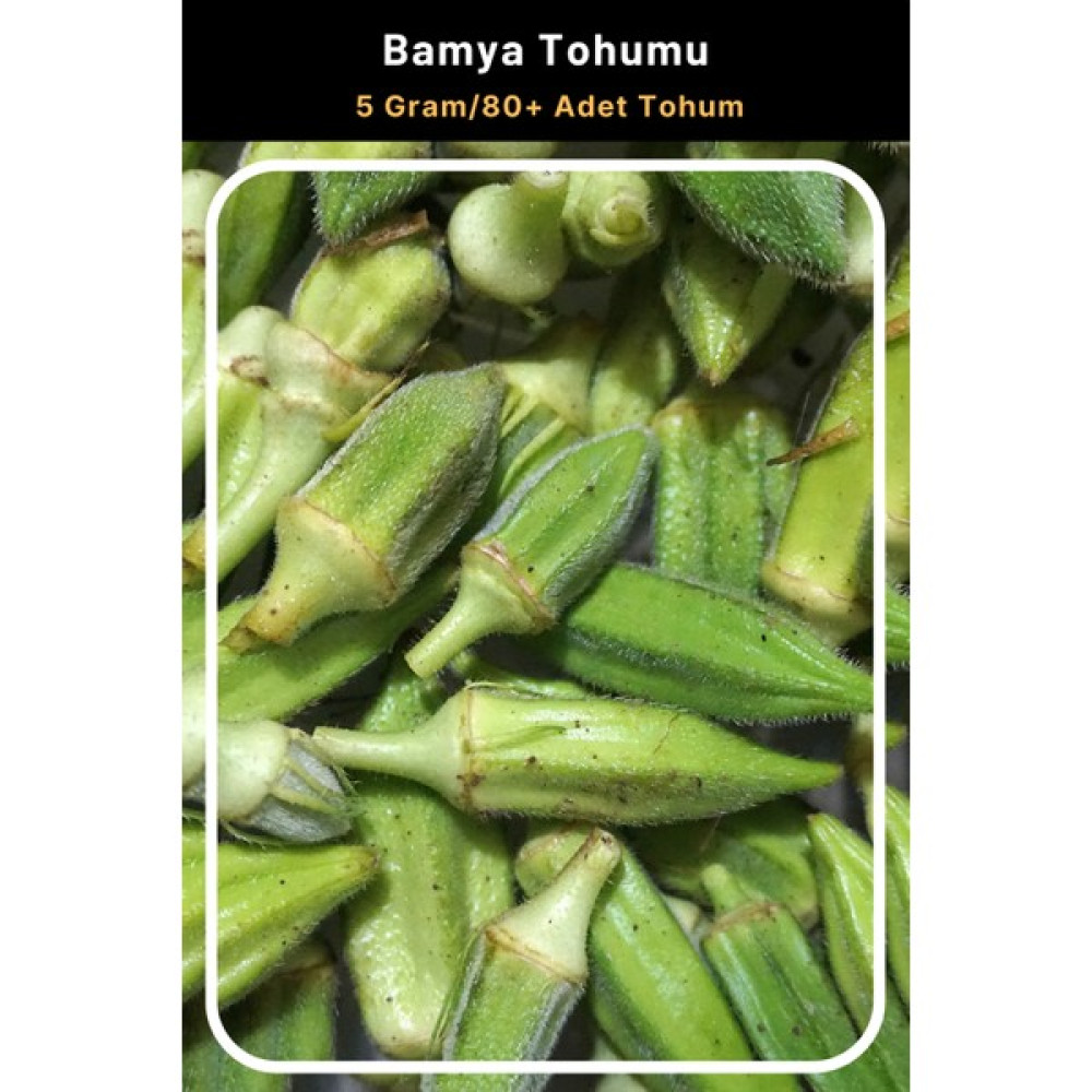 Tohum Seç Bamya Tohumu 5 Gr 80+ Adet Tohum Tohum Fiyatı
