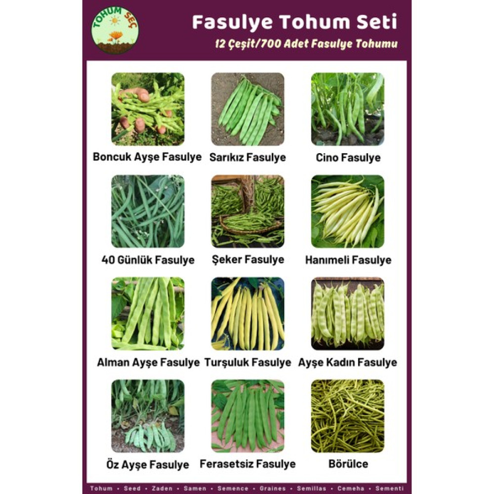 Tohum Seç Fasulye Tohum Seti, 12 Çeşit Takribi 700+ Adet Fasulye Tohumu, Avantajlı Set - 1 Adet Tohum Fiyatı