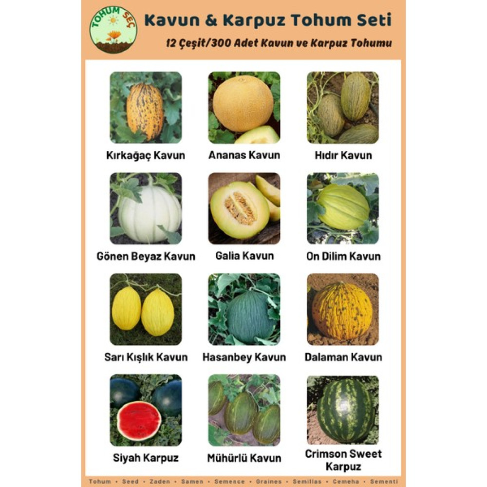 Tohum Seç Kavun & Karpuz Tohum Seti, 12 Çeşit 300+ Adet Kavun ve Karpuz Tohumu, Avantajlı Tohum Seti - 1 Adet Tohum Fiyatı