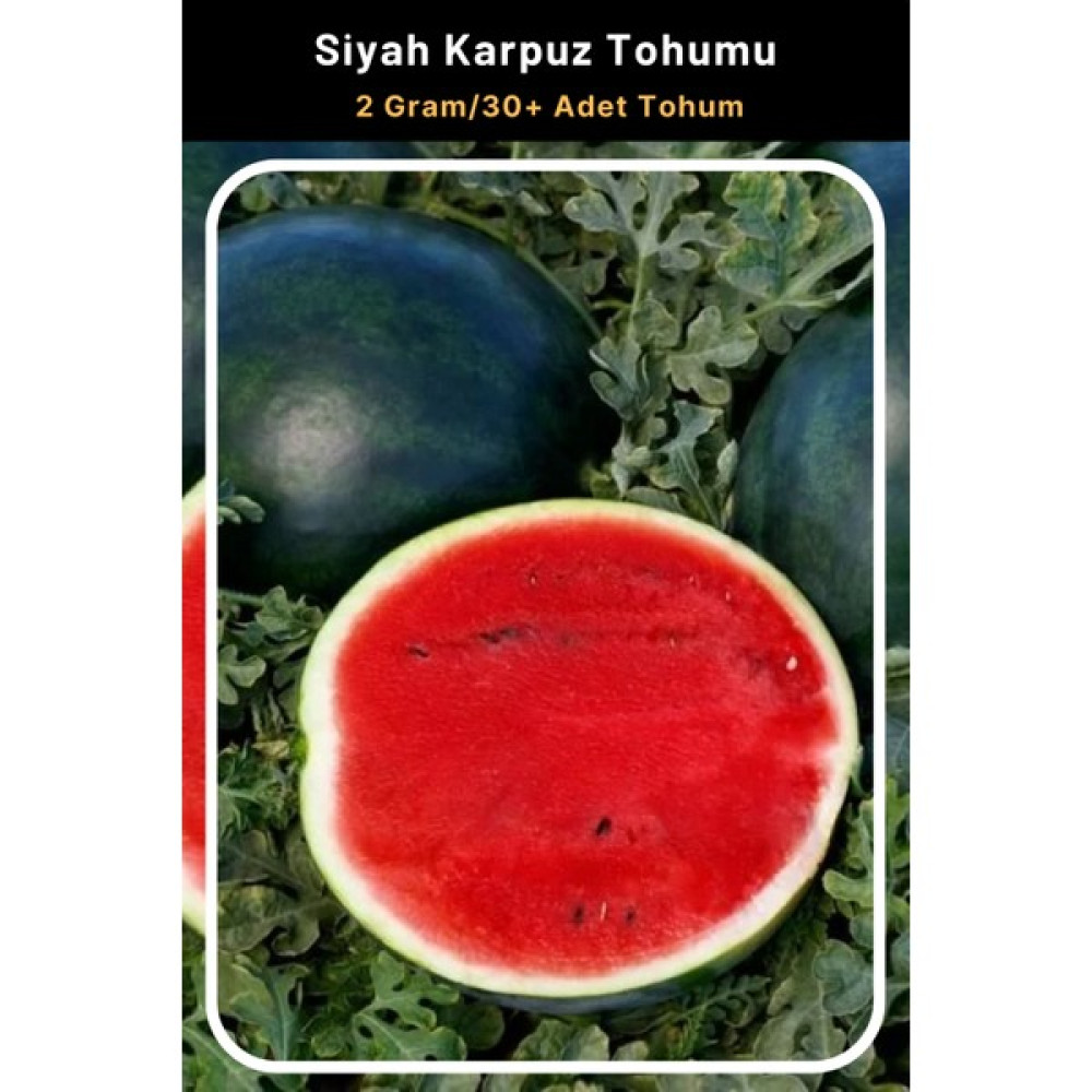 Tohum Seç Siyah Karpuz Tohumu, 2 Gram/30+ Adet Tohum - 2 gr Tohum Fiyatı