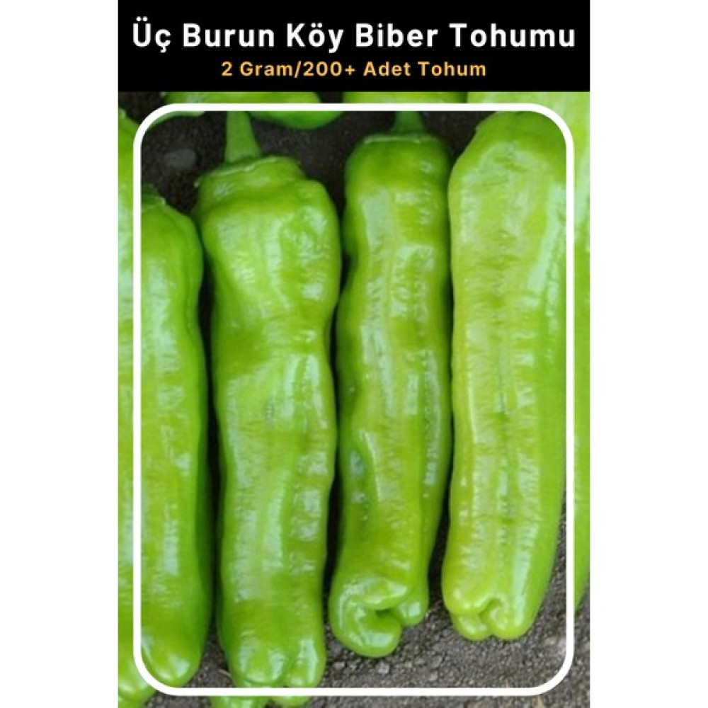 Tohum Seç Üç Burun Köy Biber Tohumu 2 Gr 200+ Adet Tohum Tohum Fiyatı