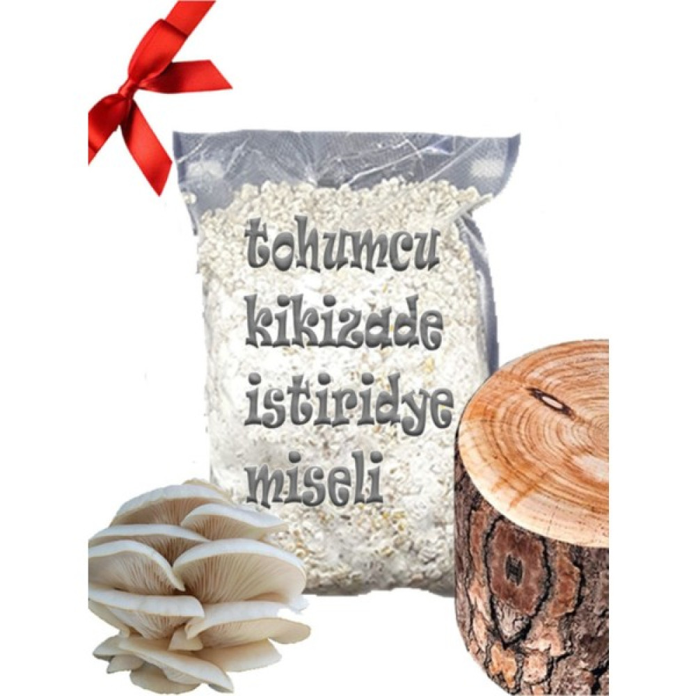 Tohumcu Kikizade Kavak Ağacı Mantarı Tohumu Miseli 5 kg Yeni Misel Istiridye Mantarı ( Rehber ) Kayın, Kavak - 1 Adet Tohum Fiyatı